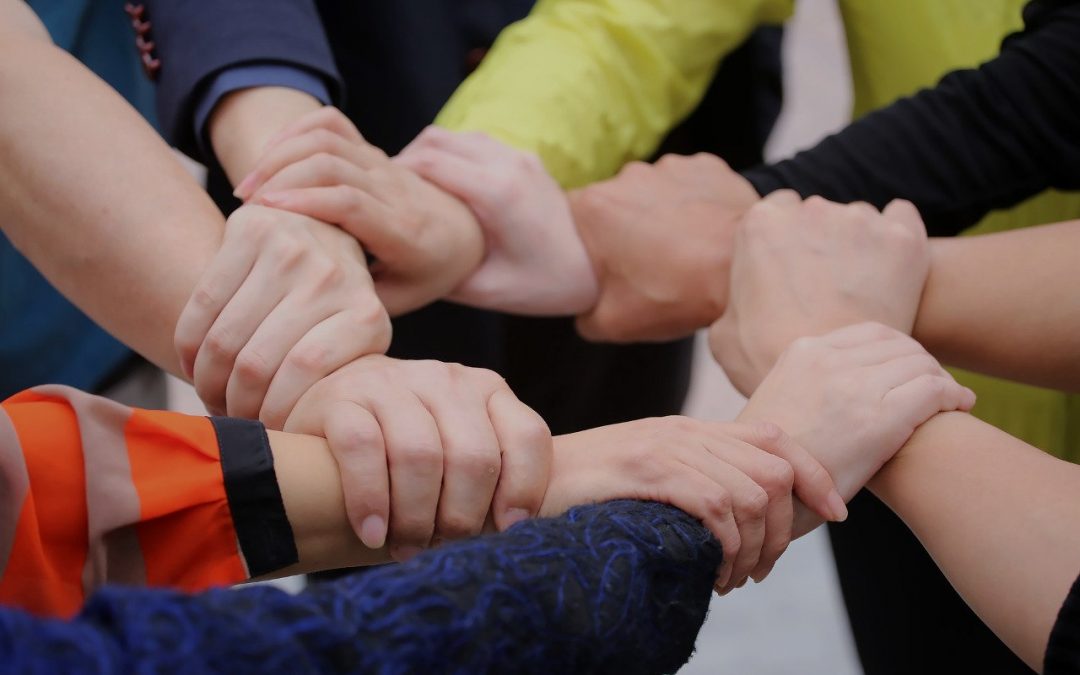 Nueva ley de voluntariado en Navarra: claves y oportunidades para la participación social