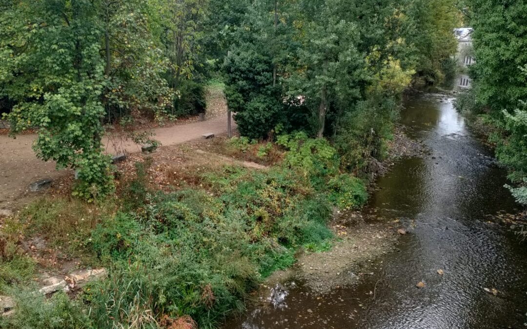 Actúa hoy, cambia el mañana: el voluntariado en Aragón celebra su fuerza transformadora