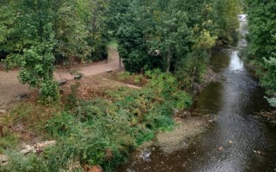 Actúa hoy, cambia el mañana: el voluntariado en Aragón celebra su fuerza transformadora