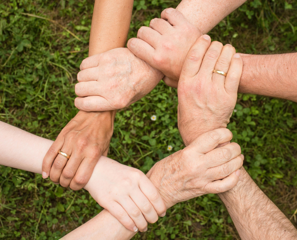 Artículo campos de voluntariado internacional